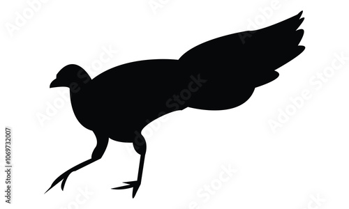 Wood Peafowl Silhouette And Vector Illustration. 