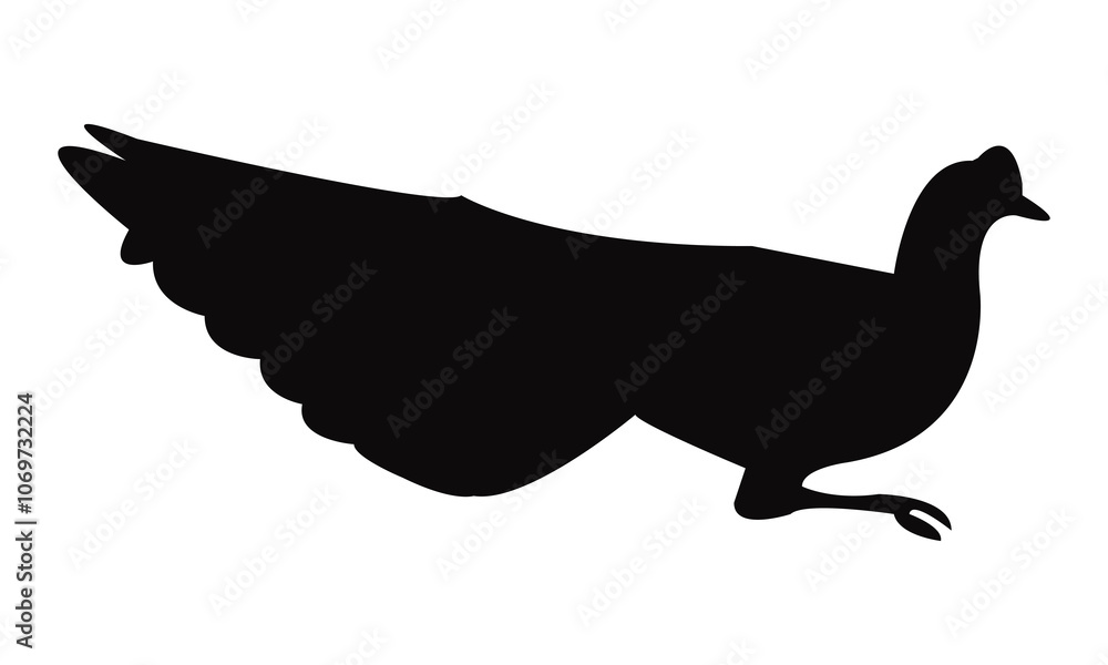 Wood Peafowl Silhouette And Vector Illustration. Wood Peafowl Silhouette And Vector Illustration.