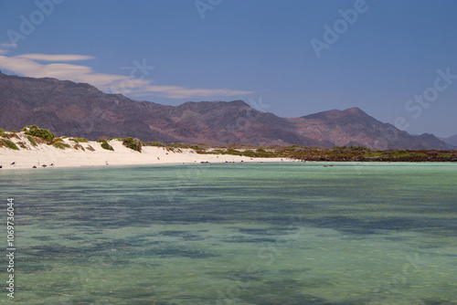 Aguas color turquesa de la hermosa isla Coronado en Loreto Baja California Sur, México photo