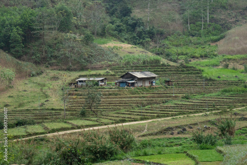 Terraced fields in Bac Quang District, Ha Giang Province, Vietnam photo