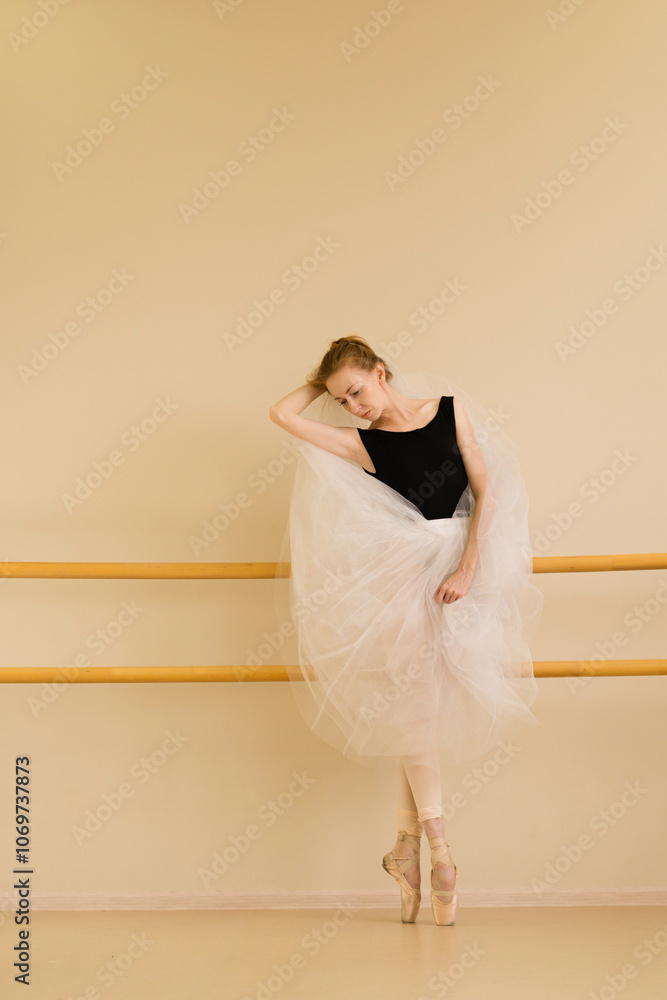 Fototapeta premium Ballet dancer strikes pose with tulle in dance studio
