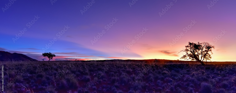Desert Landscape - NamibRand, Namibia