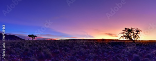 Obraz na płótnie Desert Landscape - NamibRand, Namibia w salonie