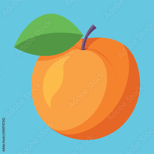 Apricot fruit vector art illustration