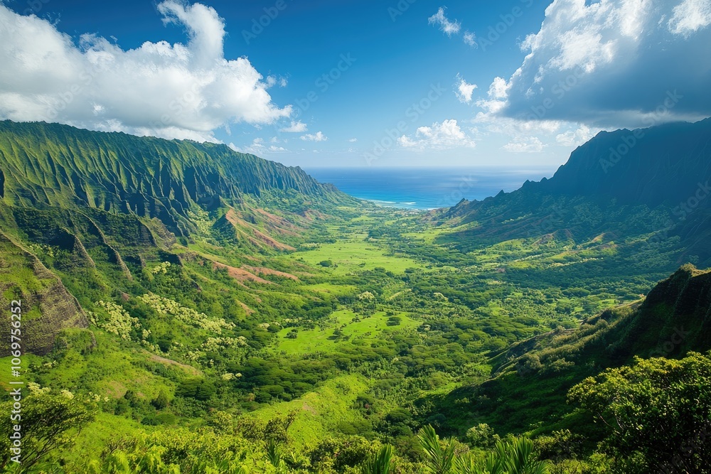 Fototapeta premium Stunning panoramic view of kauai's lush na pali coast state park in hawaii