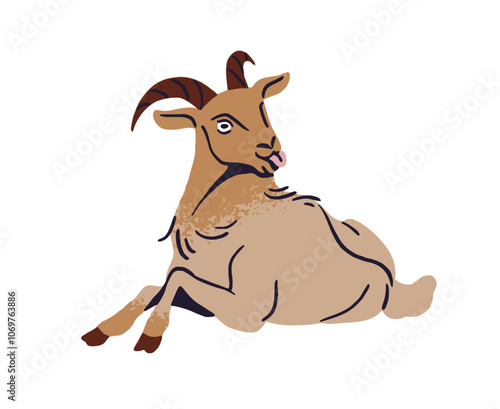 Cute goat lying, shows tongue. Funny milk livestock relaxes on ranch. Dairy farm animal, farming pet with horns, homestead fauna has a rest. Flat isolated vector illustration on white background