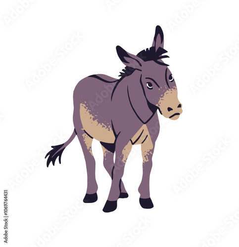 Cute donkey grazes on pasture. Funny mule stands on barnyard. Hoofed farm animal, gray ass walks. Ranch livestock, homestead pet, farming fauna. Flat isolated vector illustration on white background