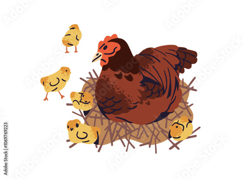 Mother hen and her chickens sit on nest. Happy family of poultry is at country. Cute ranch birds, feathered farm animals, fowl, livestock. Flat isolated vector illustration on white background