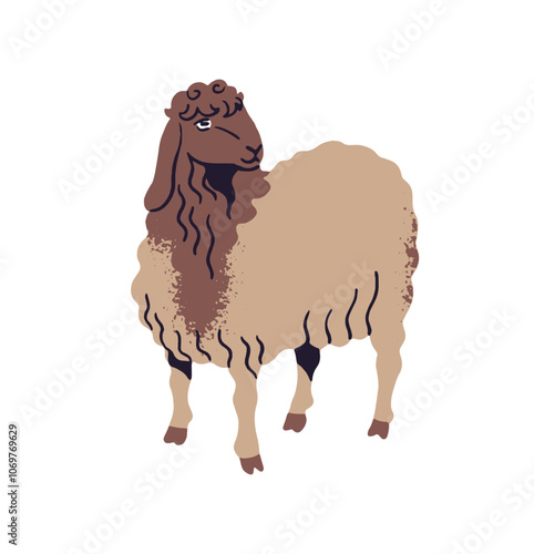 Cute sheep graze on pasture. Funny lamb, livestock is on ranch. Farm animal stands on field. Farming pet, happy country habitant. Homestead fauna. Flat isolated vector illustration on white background
