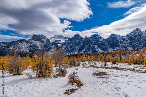 Wallpaper Mural Colorful Fall Larch Valley Banff National Park Ten Peaks Panorama Torontodigital.ca