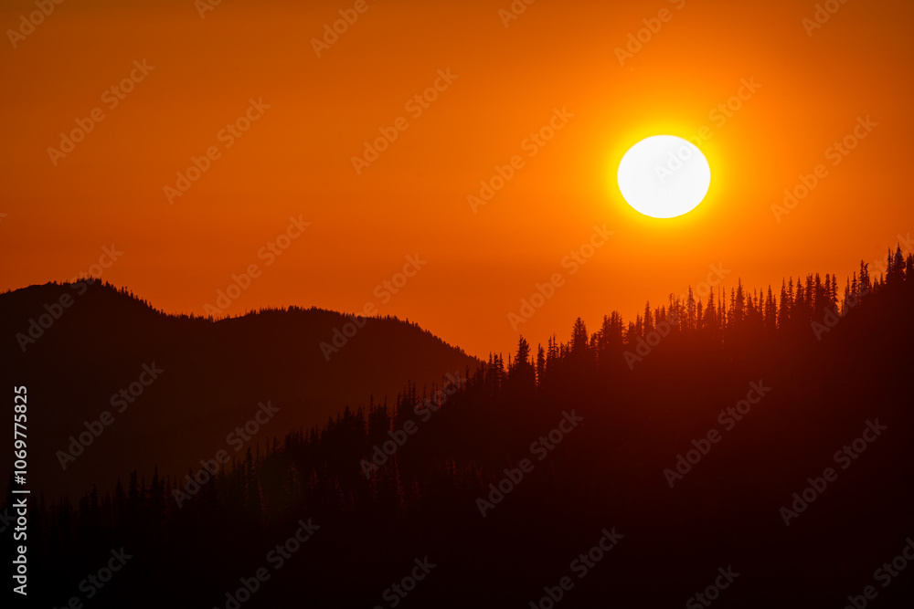 Fototapeta premium Sunset Sunrise Hurricane Ridge Olympic National Park Washington State