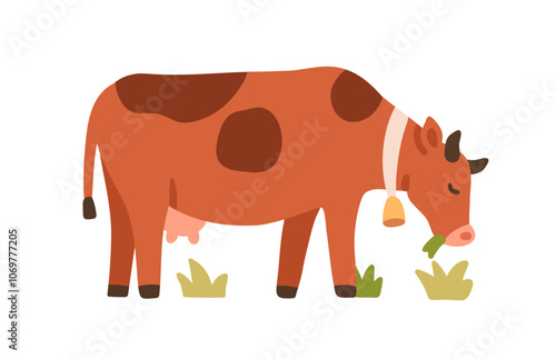 Milk cow grazing in country pasture. Cute farm dairy animal with neck bell feeding in countryside field. Eating grass, agriculture scene. Flat vector illustration isolated on white background