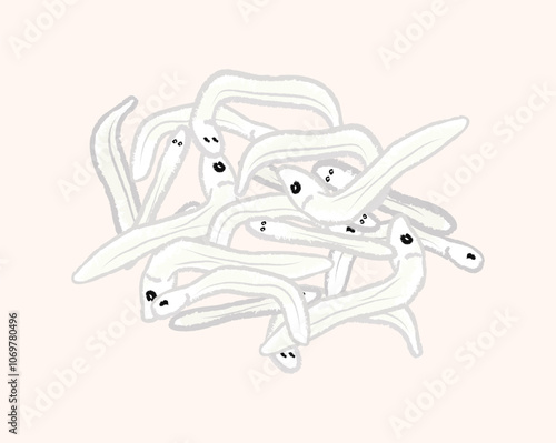 A group of small whitebait fish