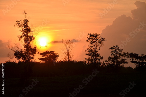  “Sunset over a field in Lampung with a golden sky, capturing the serene and picturesque evening landscape.” photo