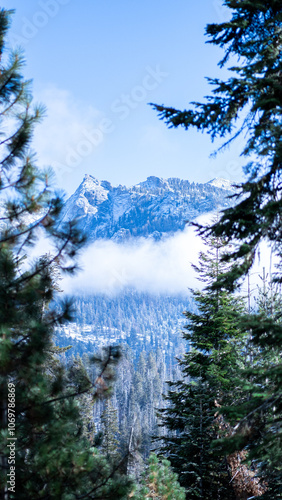 Mountain in the Mist, Framed by Trees