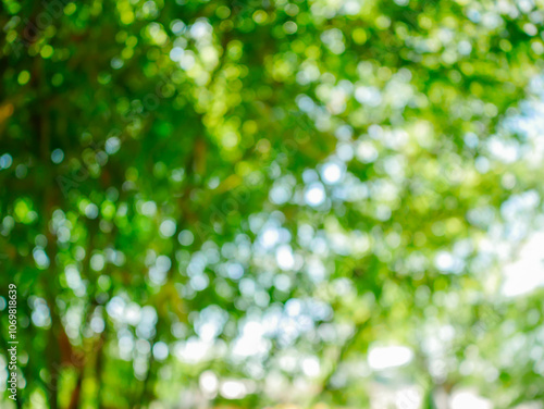 Green bamboo bokeh in the background.