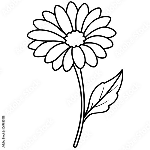 Medicinal Calendula Line Art.