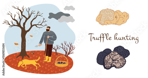 truffle hunt scene with man and dog harvesting mushrooms in a basket. Ideal for advertising banners, posters, articles, and local market decor, capturing the essence of foraging and gourmet cuisine. photo