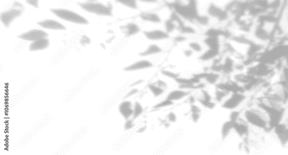 custom made wallpaper toronto digitalThe shadow of many tree leaves on a white wall. Black and white image for photo overlay or mockup