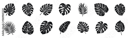 Tropical leaves with different shapes and patterns, vector illustration set. Features monstera, palm, and other exotic leaves in a simple, stylized form.