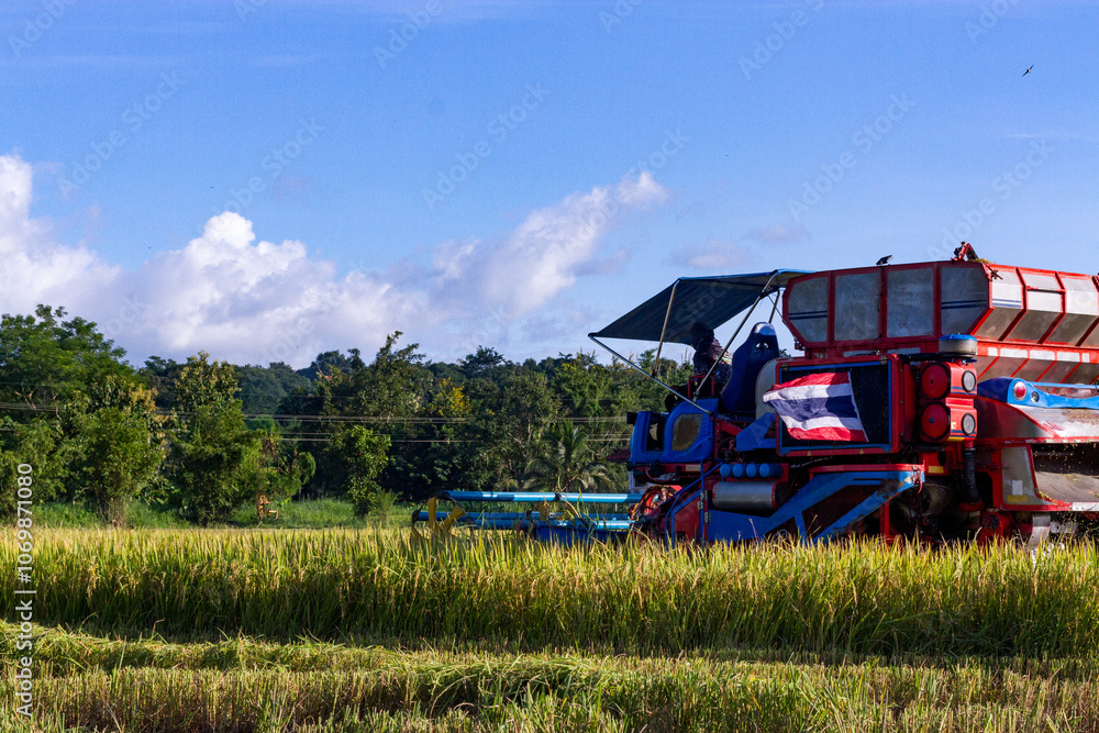 Fototapeta premium Rice harvester in the middle of a golden rice field in the harvest season of Thailand. Agricultural concept and agricultural technology.