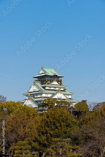 青空に映える大阪城 photo