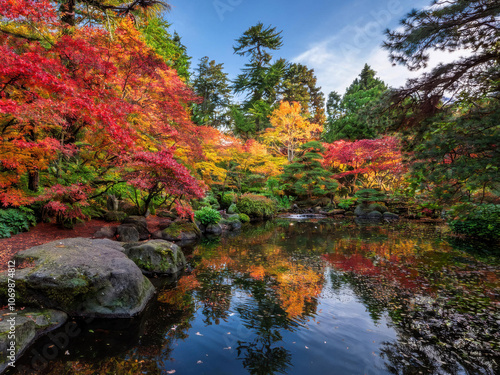autumn in the park