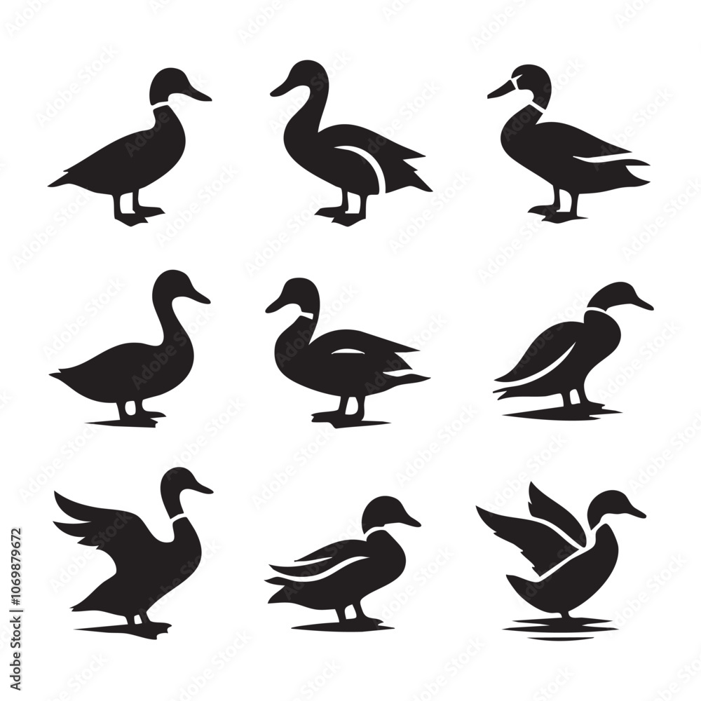 Fototapeta premium Set of duck silhouette