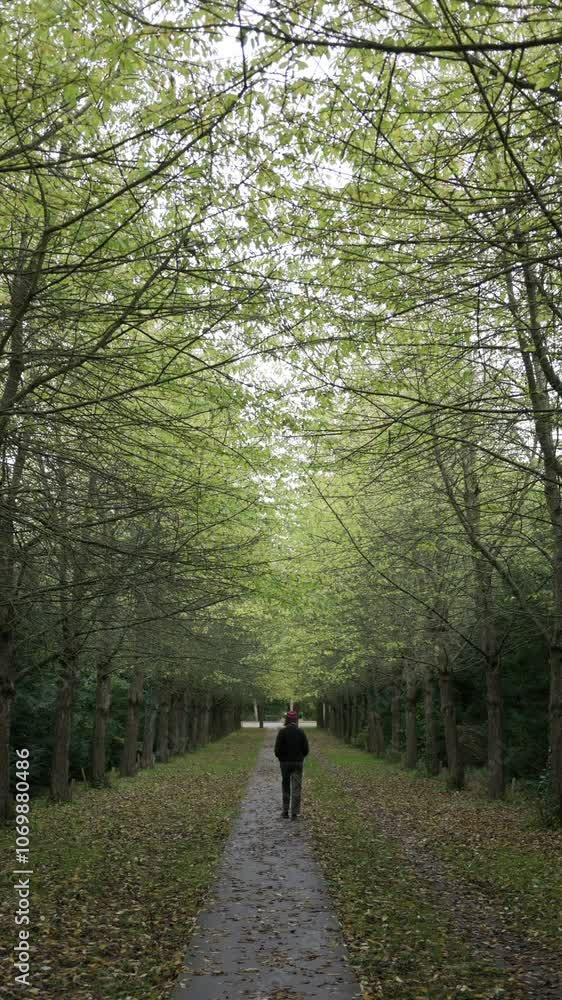 Woman walking through the Vestre Cemetery, in a large park setting in the Kongens Enghave district of Copenhagen, Denmark. Vertical Woman walking through the Vestre Cemetery, in a large park setting in the Kongens Enghave district of Copenhagen, Denmark. Vertical