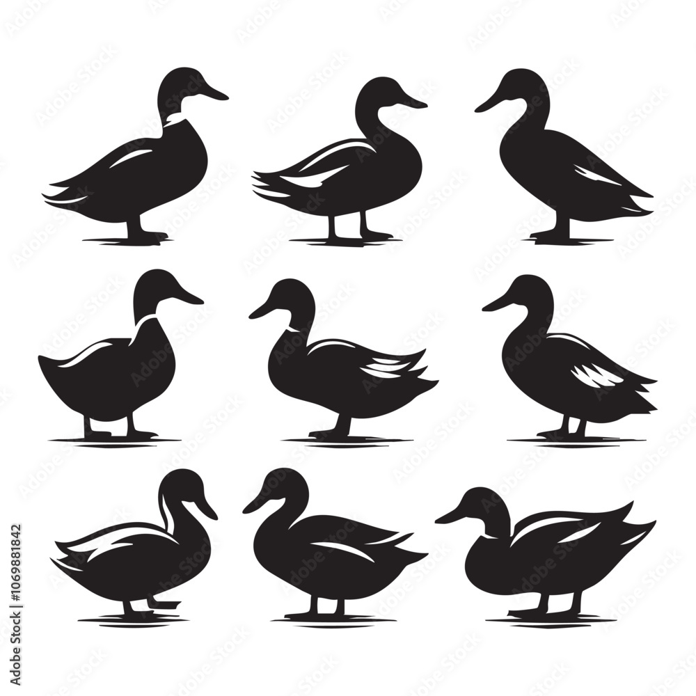 Set of duck silhouette Set of duck silhouette