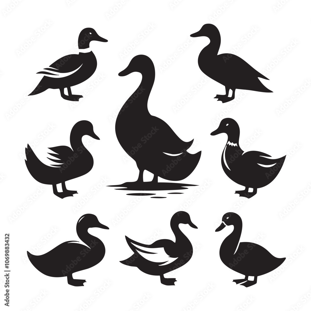 Fototapeta premium Set of duck silhouette