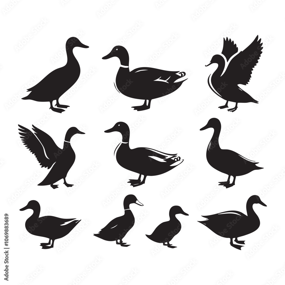 Obraz premium Set of duck silhouette
