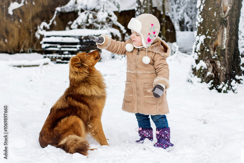 the dog stole the mitten photo