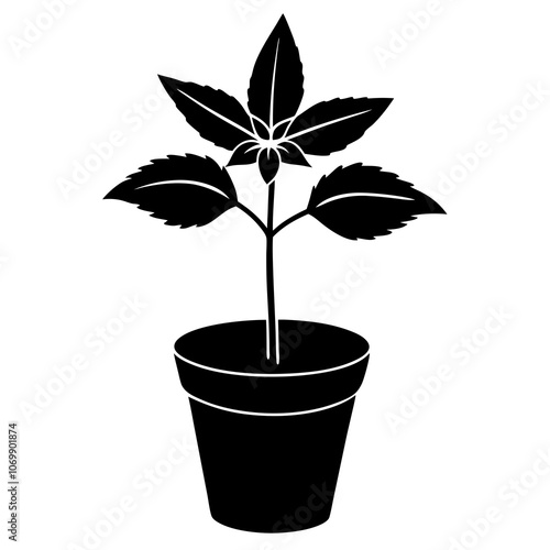 Peppermint Flower Pot Silhouette Vector.