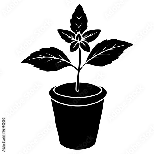 Peppermint Flower Pot Silhouette Vector.