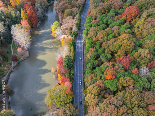 Autumn Colorful in the Ataturk Arboretum Drone Photo, Sariyer Istanbul, Turkiye (Turkey) photo