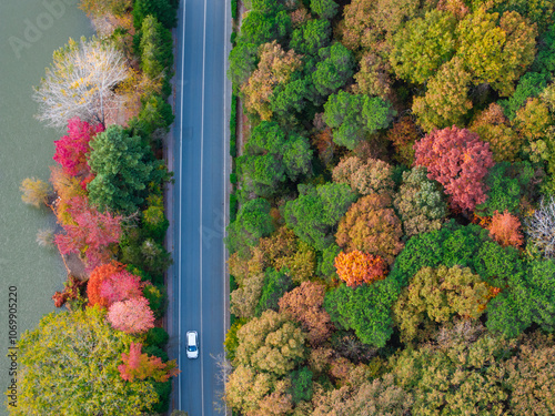 Autumn Colorful in the Ataturk Arboretum Photo, Sariyer Istanbul, Turkiye (Turkey) photo