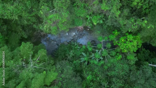 Overhead Drone Shot of Small River Visible Through Colorful Green Trees photo