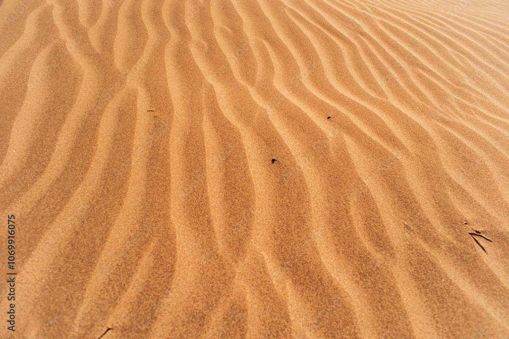 Dunes on the beach on Lanzarote Canary Island Dunes on the beach on Lanzarote Canary Island