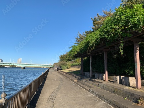 隅田川の河川敷の景色 photo