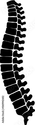 spine