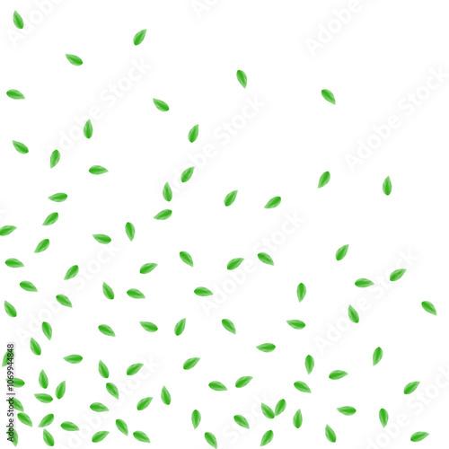 Greenish Sheet Background White Vector. Leaves Elegant Texture. Environment Illustration. Light Green Fresh Frame. Leaf Rustic.
