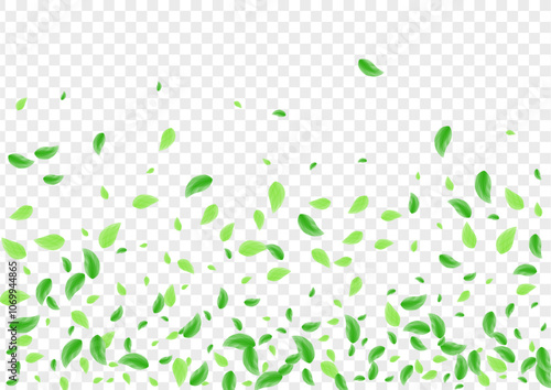 Greenish Plant Background Transparent Vector. Vegetation Vivid Design. Vibrant Card. Green Sprout Illustration. Foliage Environment.