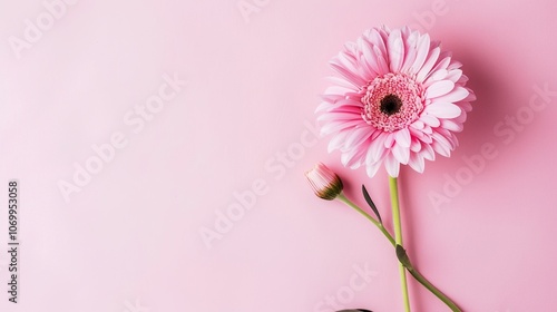 beautiful flower pink background,Enchanting Pink Floral Symphony