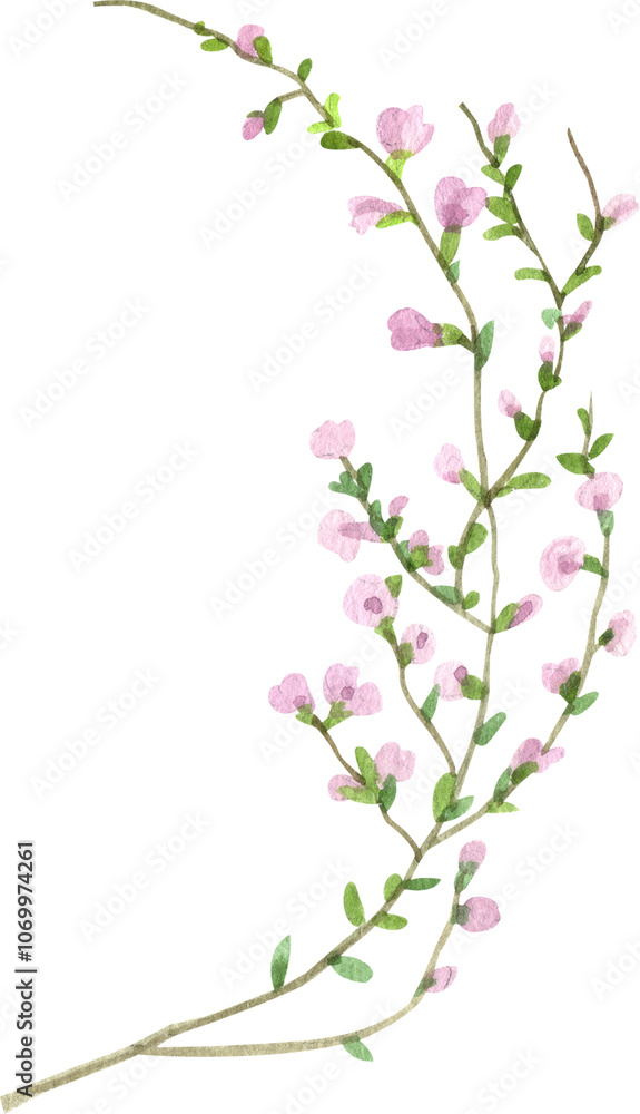 Fototapeta premium Handdrawn Watercolor Small pink vine-like flowers