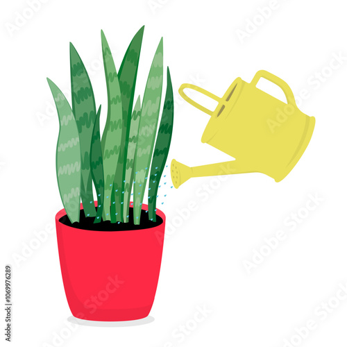 Plant care concept. Watering plants from a watering can.