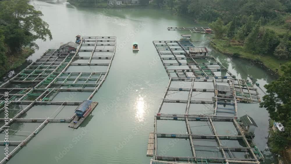 drone video of a fish pond near the forest and there is a boat going by at sunset, the drone backward and the camera goes from downward to forward
drone video of a fish pond near the forest and there is a boat going by at sunset, the drone backward and the camera goes from downward to forward