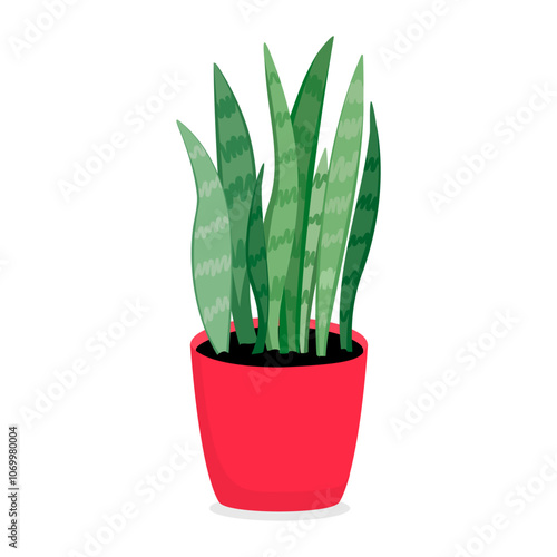 Houseplant. Landscaping of the house and office