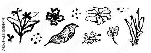 Handdrawn flower and leaf. Doodle Ink floral and plant abstract illustration. Sketch nature simple daisy, flower, leaves, graphic elements