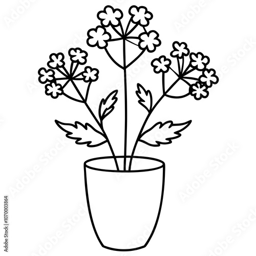 Medicinal Yarrow Flower Line Art SVG.